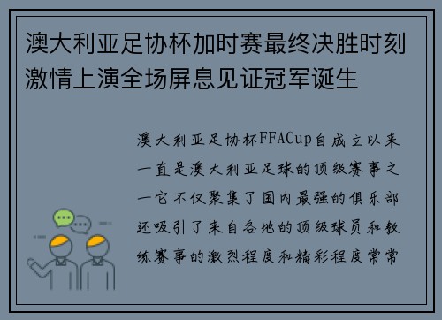 澳大利亚足协杯加时赛最终决胜时刻激情上演全场屏息见证冠军诞生