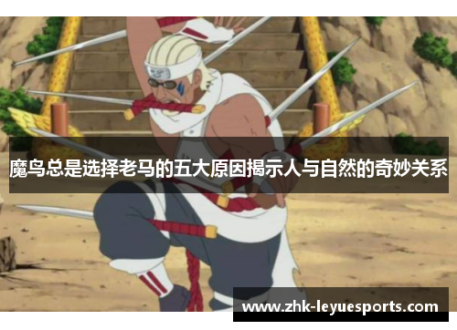 魔鸟总是选择老马的五大原因揭示人与自然的奇妙关系