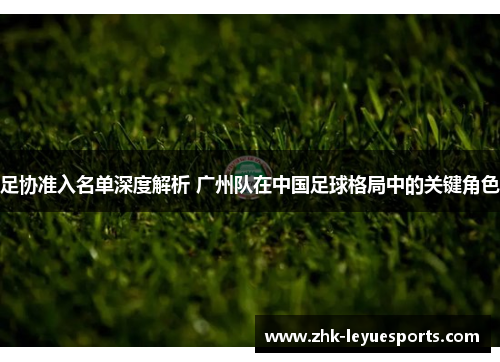 足协准入名单深度解析 广州队在中国足球格局中的关键角色